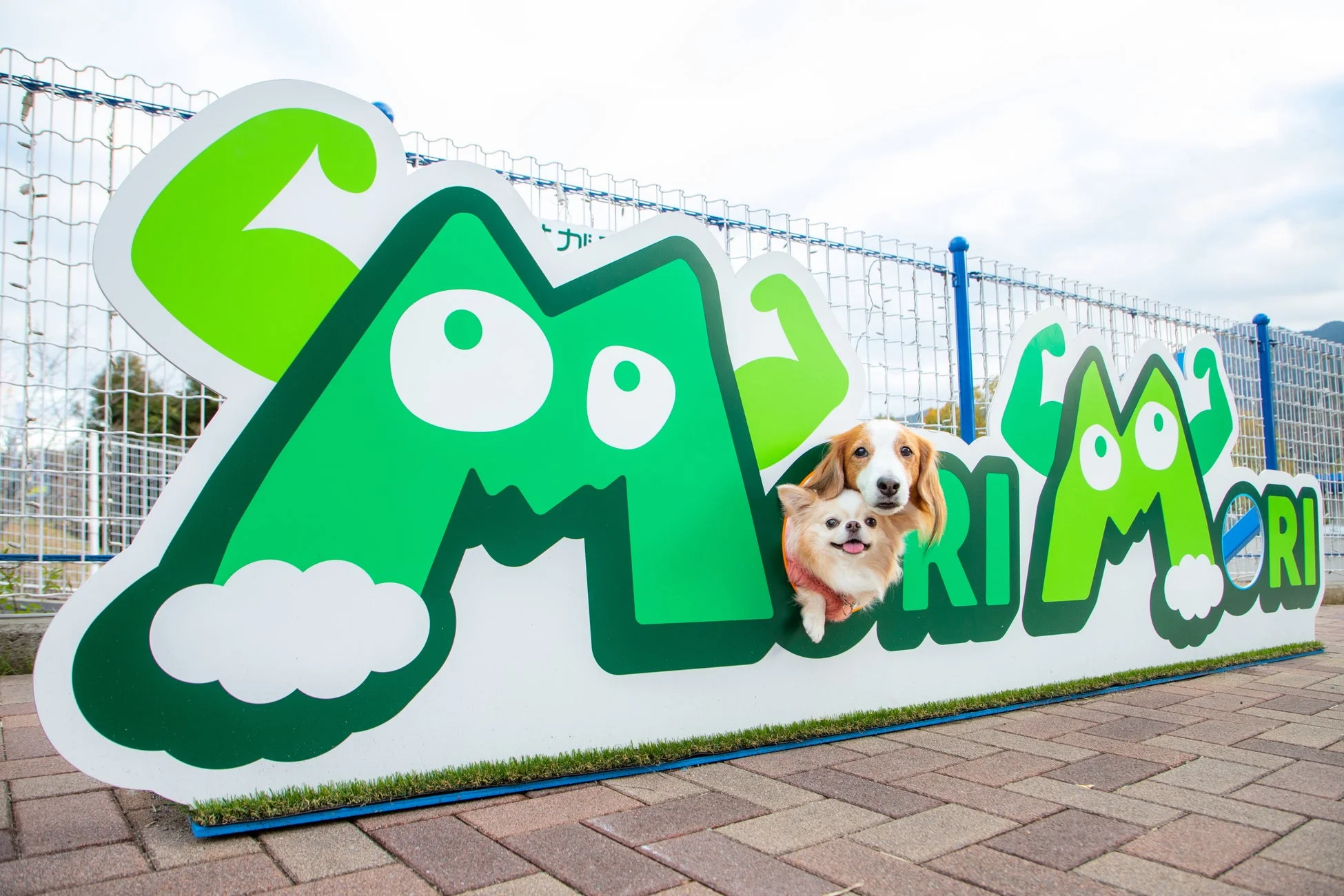 MORIMORI看板から顔を出す犬たち