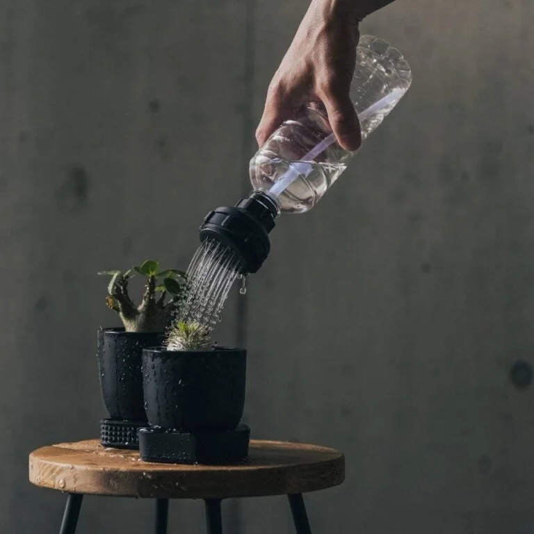 植物の水やり