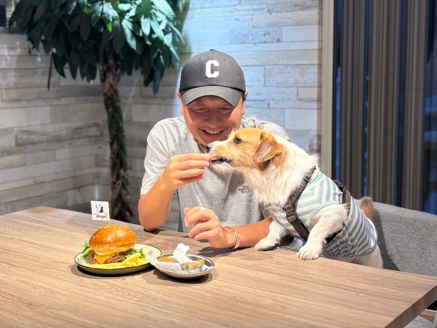男性と犬、ハンバーガー