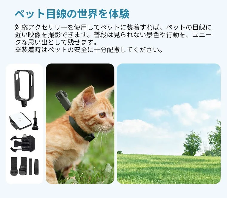 ペット目線撮影
