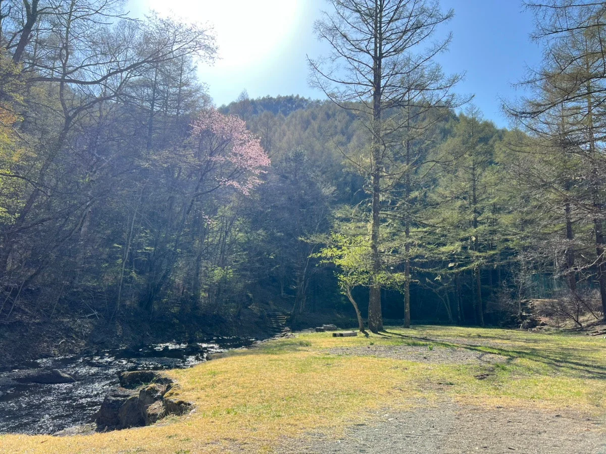 春の穏やかな日差しが降り注ぐ山間の風景