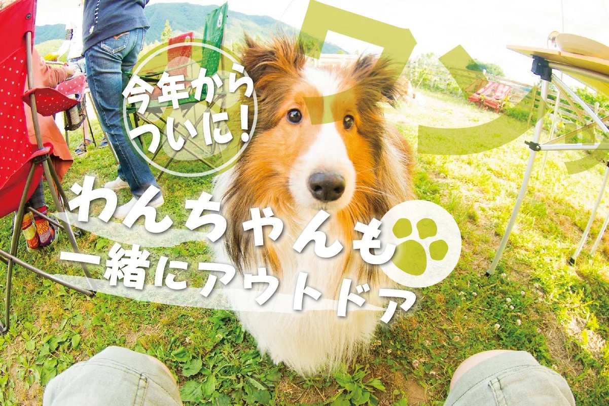 わんちゃんも一緒にアウトドア