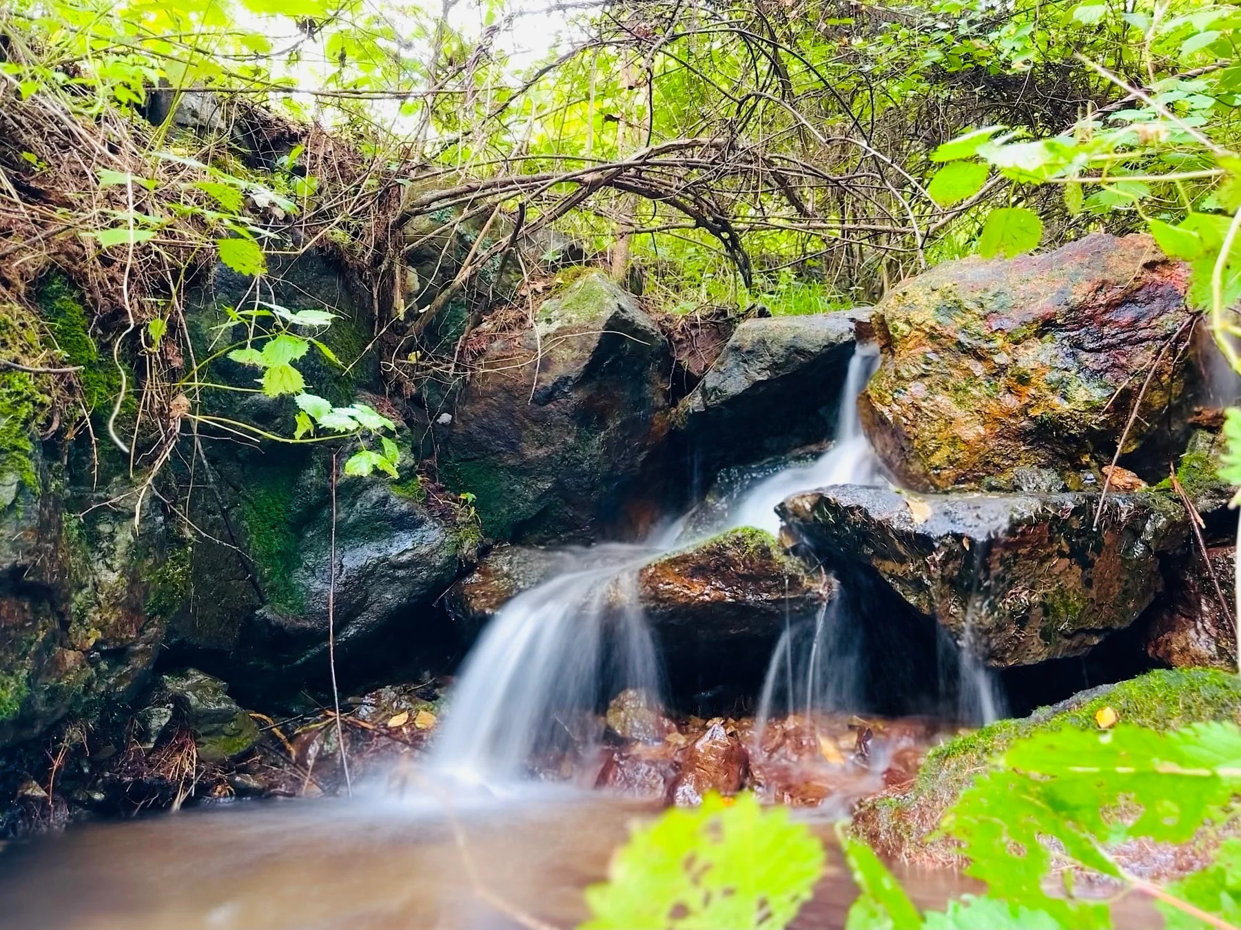苔むした岩間を流れるミニ滝