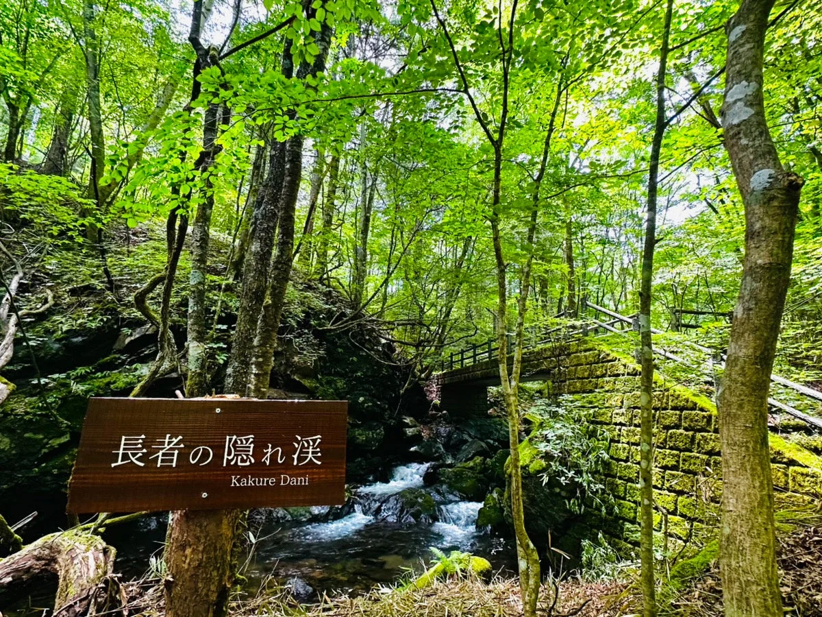 青々とした木々に囲まれた渓谷の石橋