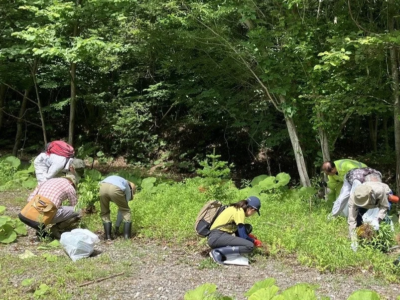 複数の人々が、緑豊かな森林の縁で草むしりや植物の手入れをしている様子です。彼らは手袋を着用し、ゴミ袋を傍らに置いて作業に集中しており、環境保全活動の一環と見られます。