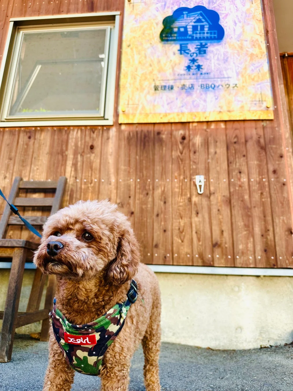 長者の森のメイン看板と犬