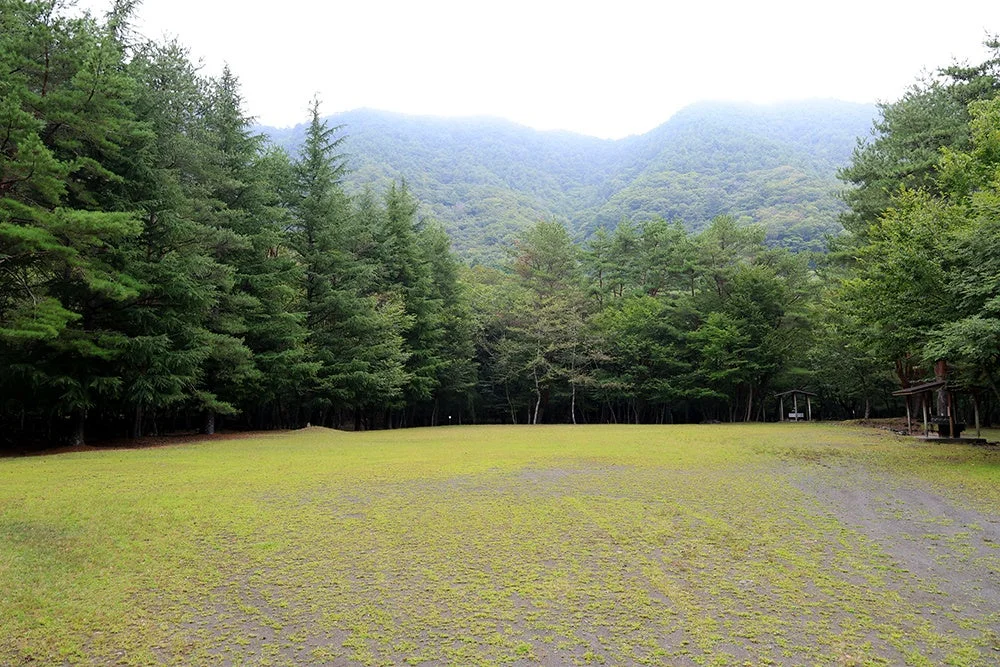 広々とした緑の草地が広がり、その周囲を鬱蒼とした森林が囲んでいるキャンプ場の風景